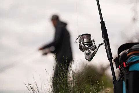 SHIMANO Stradic FL + Favorite Black Swan
