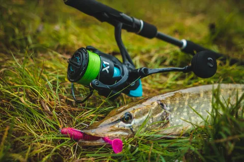 favorite_X1saltwater_keitech_FAT2