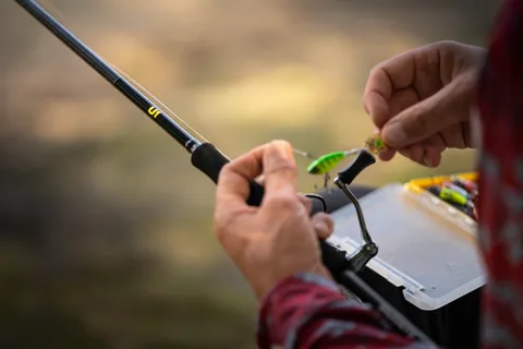 U1 rod + Savage Gear Fat tailspin(1)
