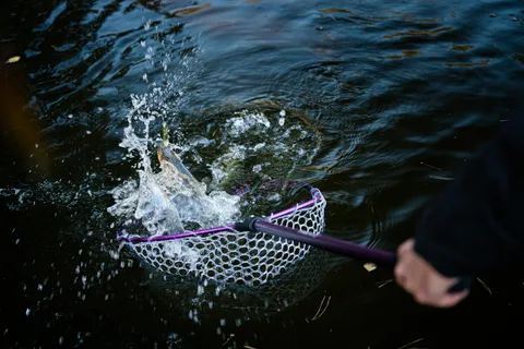 Landing nets