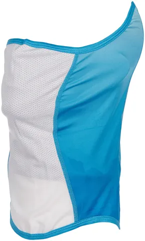 Anatomic-Blue