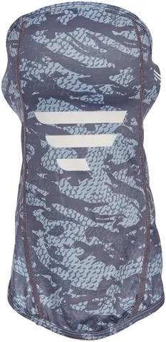 Anatomic-Gray_1