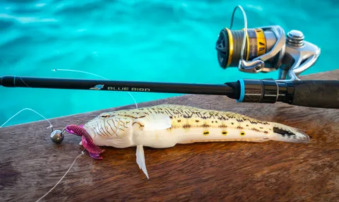 Reins AX Craw+bluebird+sedona