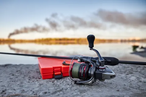 Shimano Vanford + Favorite Black Swan 71106-05-22