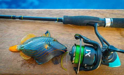 Reels
