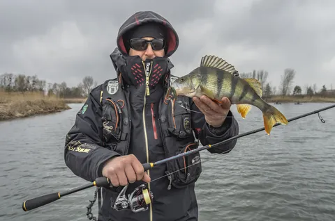 Favorite Skyline Alconite Shimano Stradic Ci4+ Keitech Mad Wag (2)