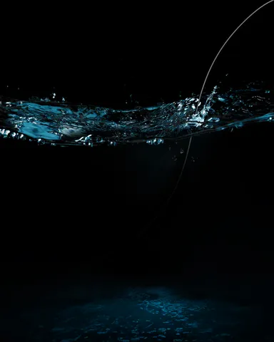 invisible 2