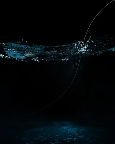 invisible